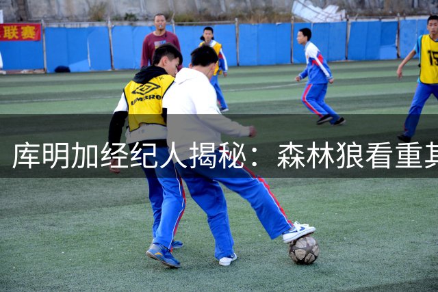 库明加经纪人揭秘：森林狼看重其独特价值而非角色定位